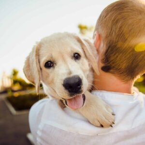 training for puppy owners - How to Prepare for a New Puppy